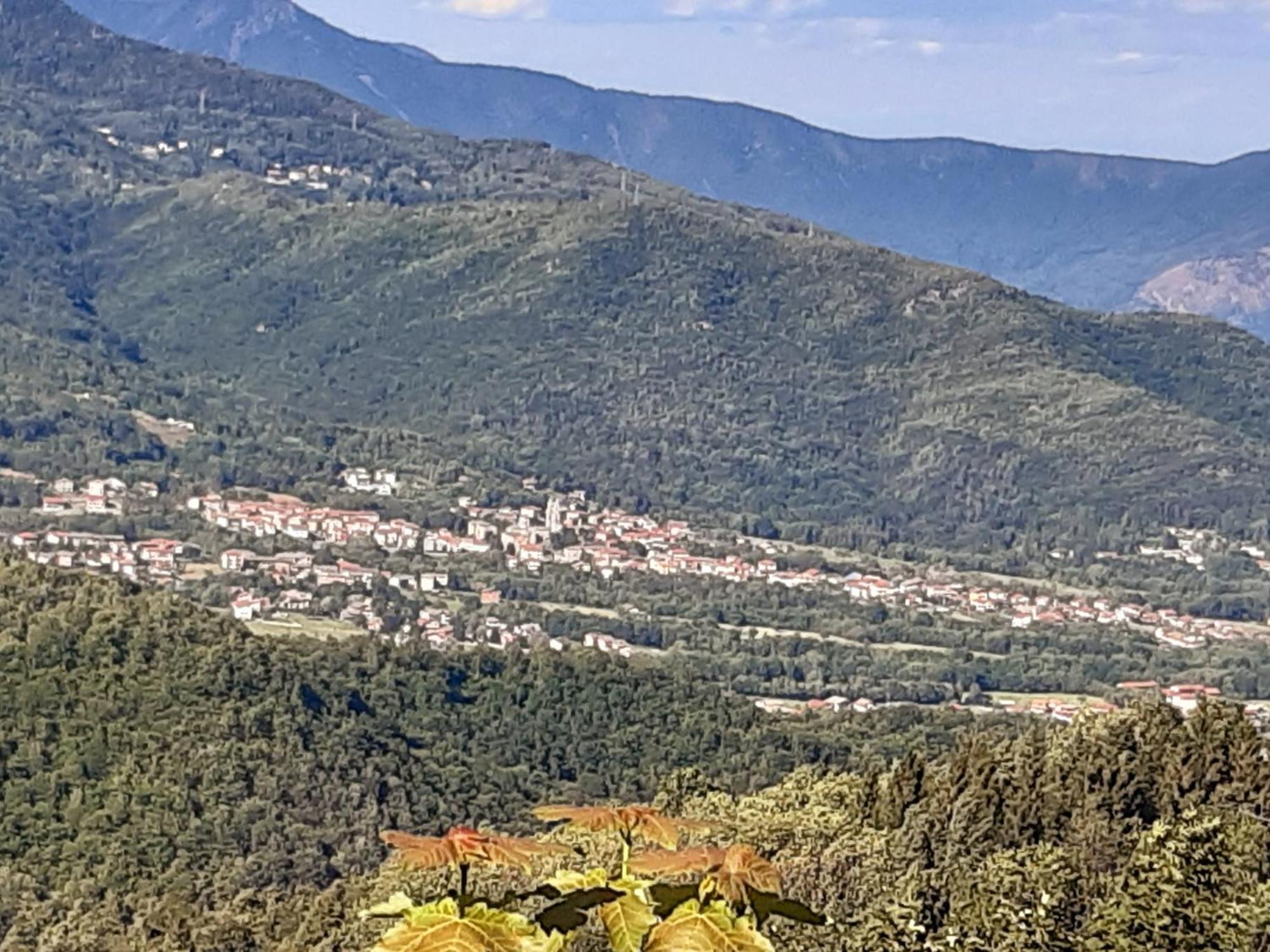 Grazioso Bilocale Merlino, Luminoso Con Vista Santuario, Wifi Giaveno Ngoại thất bức ảnh